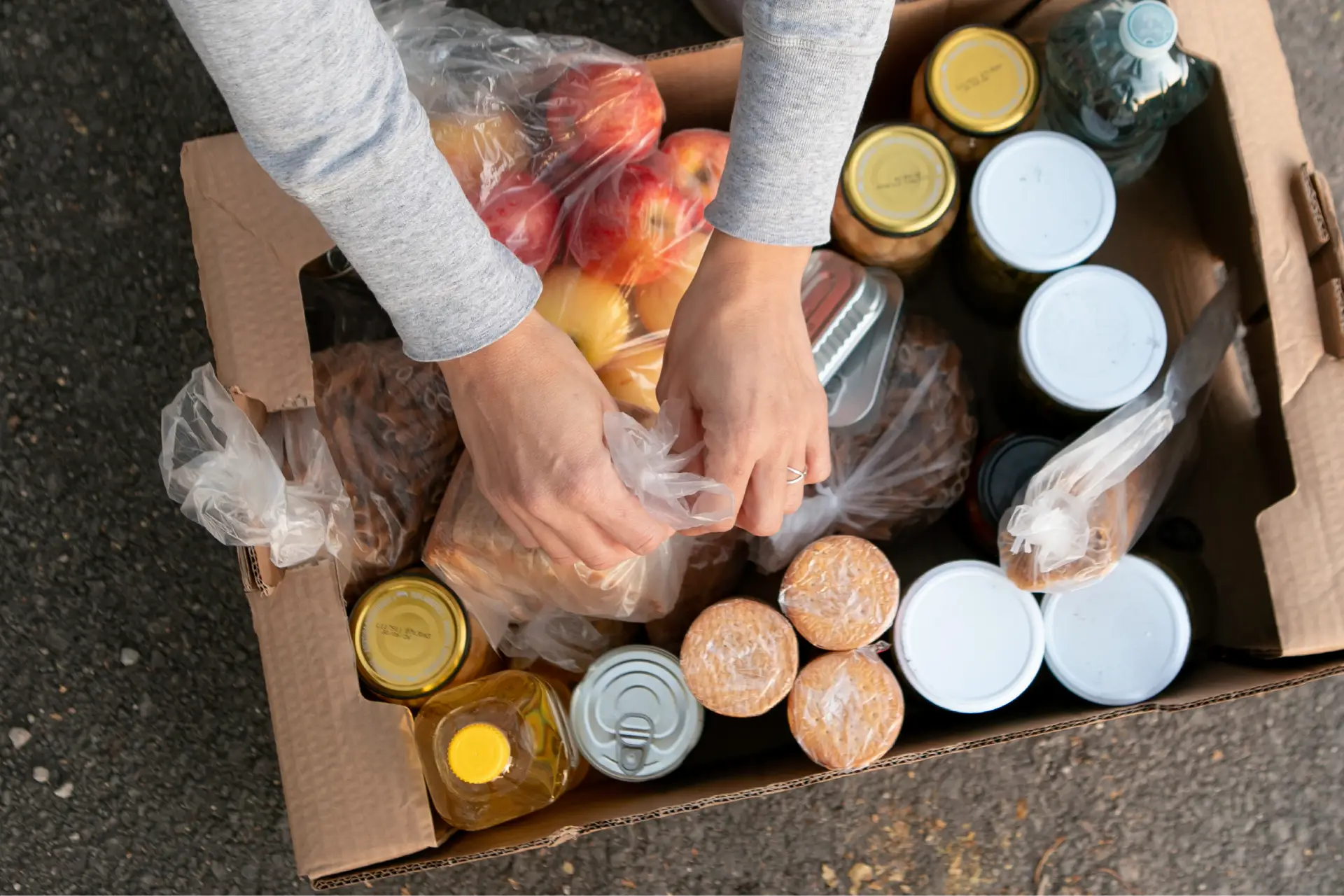 raccolta alimentare
