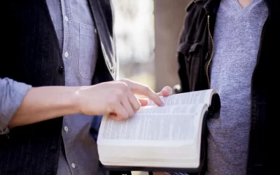 Catechesi giovani e adulti