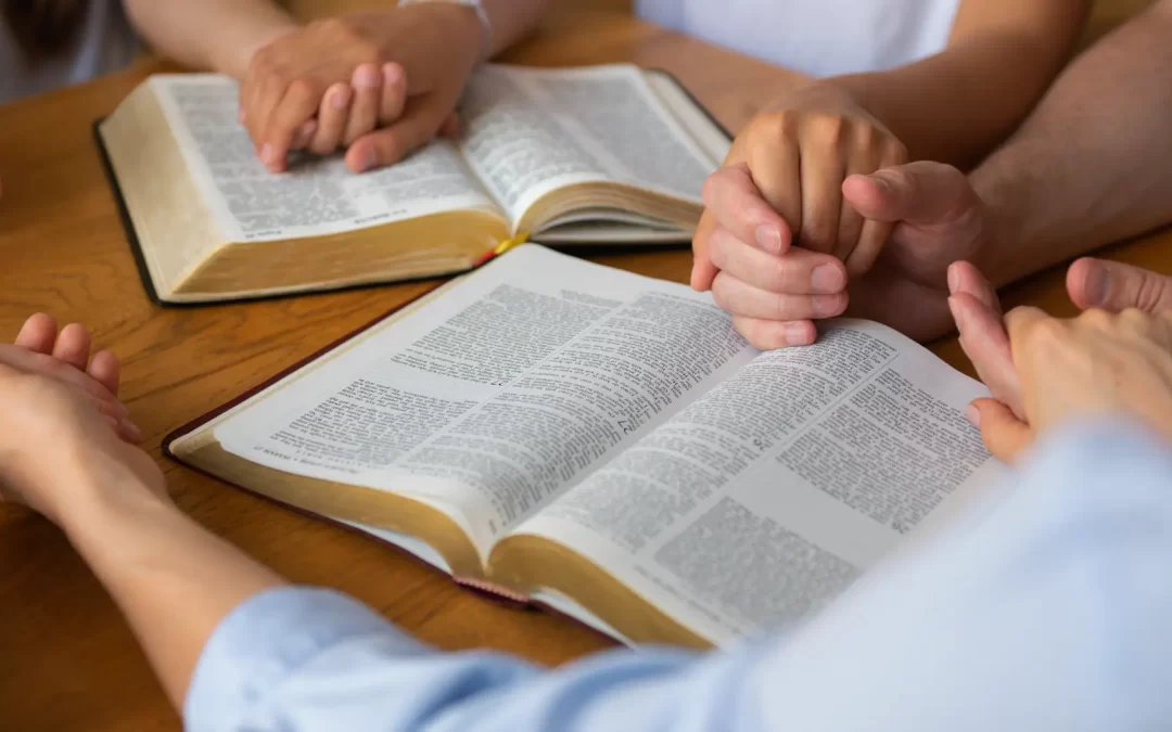 Catechesi per giovani e adulti