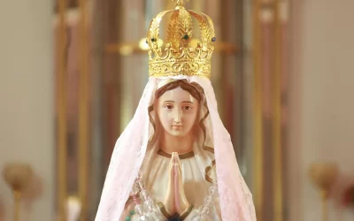 Solennità dell’Immacolata Concezione