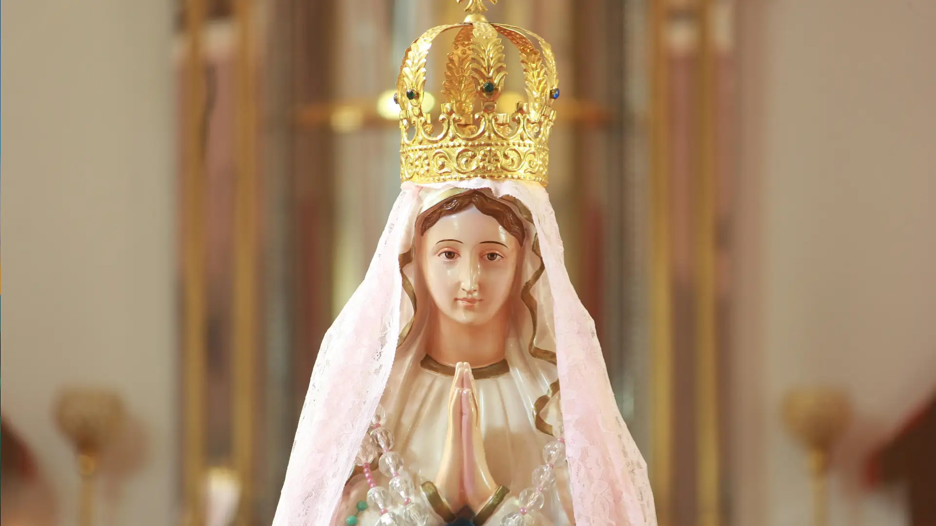 immacolata concezione