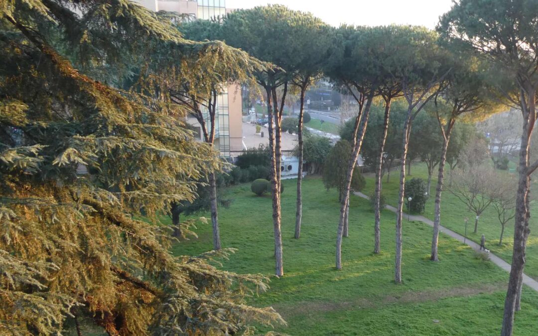 Alberi e giardini in città riducono ansia e stress