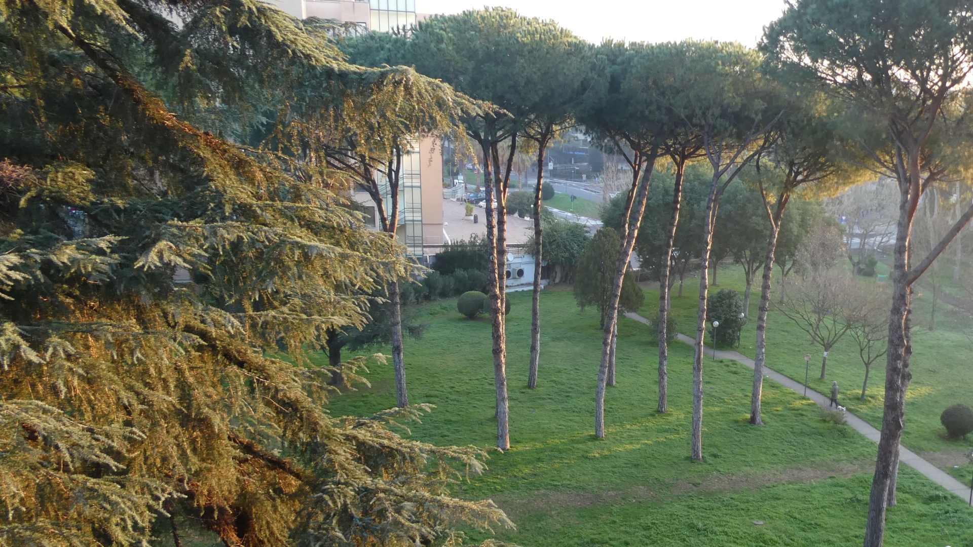 Alberi e giardini in città riducono l'ansia e lo stress