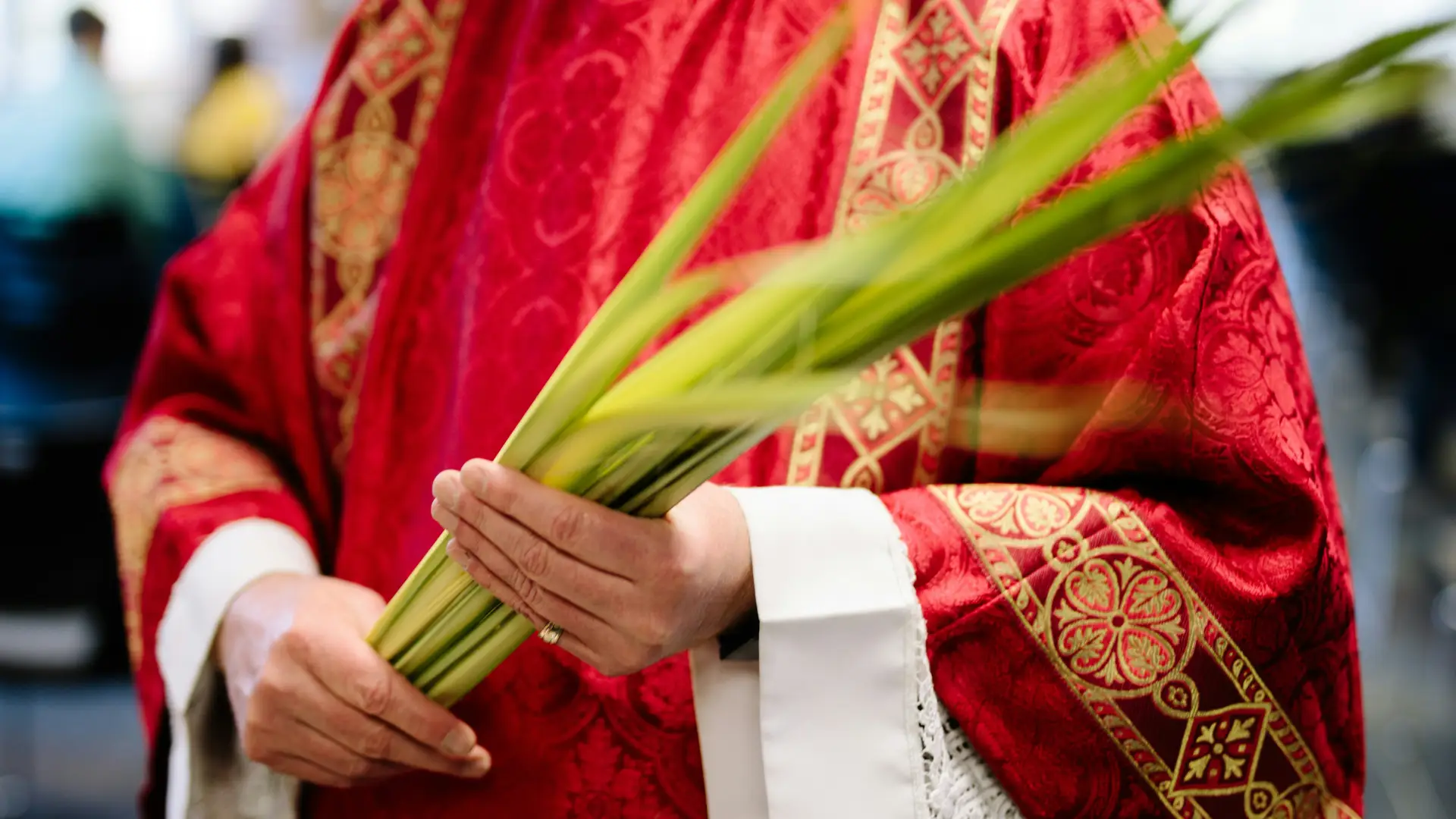 Domenica delle palme