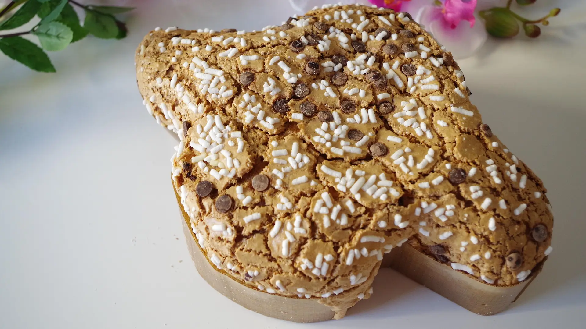 Una colomba per la vita