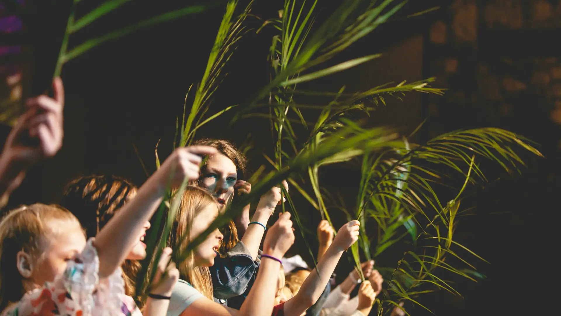 processioni delle palme